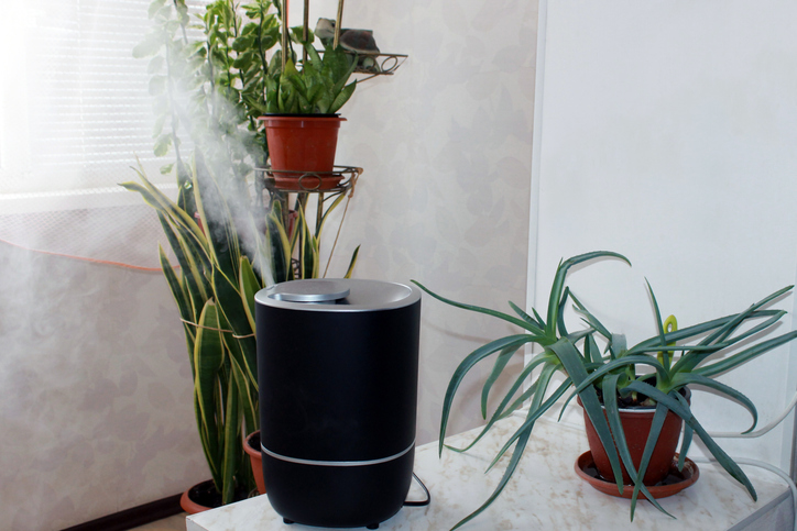 Tips to Choose the Right Dust-Free Active Air Purifier for Your Home